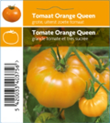 Tomaat Orange Queen (tray 12 pot)